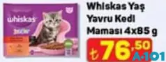 WHİSKAS YAŞ YAVRU KEDİ MAMASI 4X85 G
